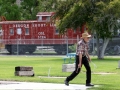 Horseshoes-(1)