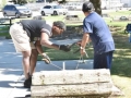 horseshoes 2w