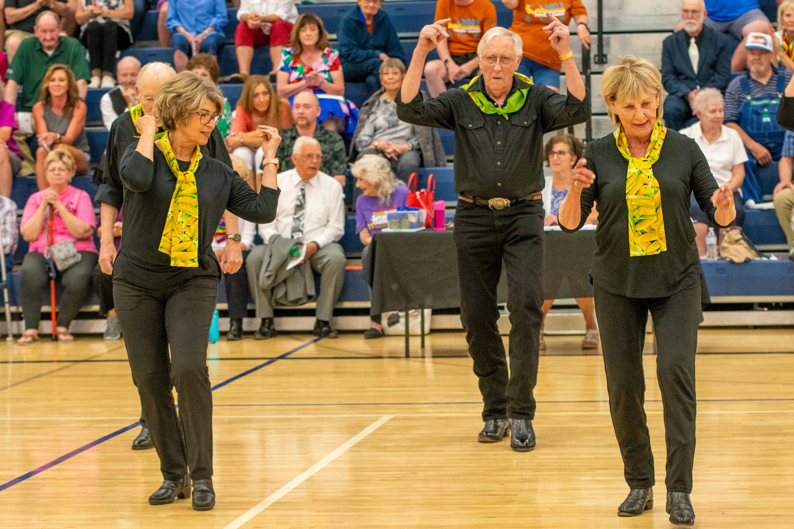 A purple background with the words southeast idaho senior games written in green.